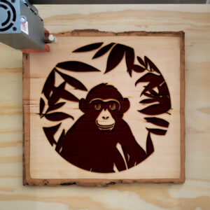 65489_wood-laser-1.jpg