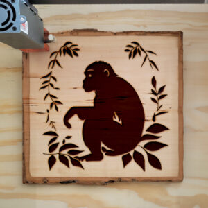 65491_wood-laser-1.jpg