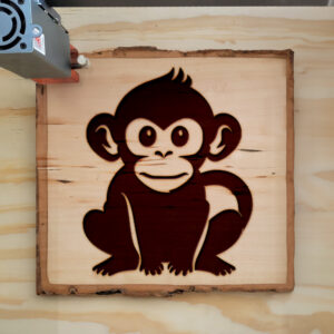 65515_wood-laser-1.jpg