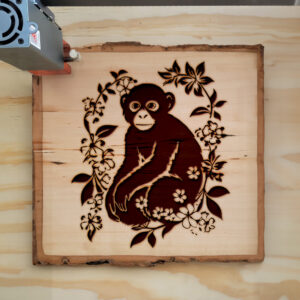 65533_wood-laser-1.jpg