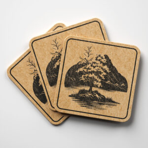 65634_coaster-1.jpg