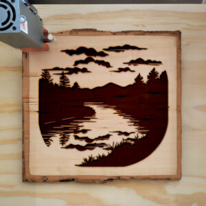 65703_wood-laser-1.jpg