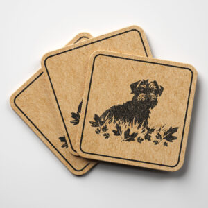 65705_coaster-1.jpg