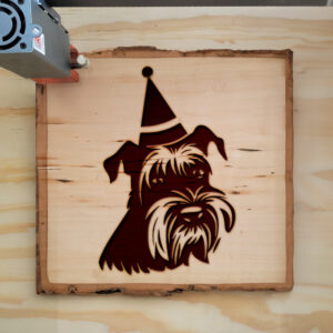 65740_wood-laser-1.jpg
