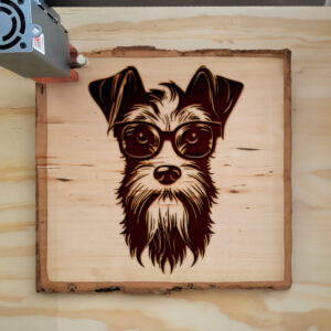 65774_wood-laser-1.jpg