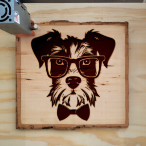 65776_wood-laser-1.jpg