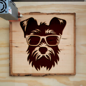65778_wood-laser-1.jpg