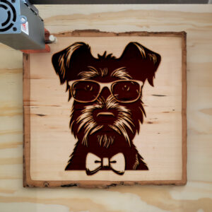 65784_wood-laser-1.jpg