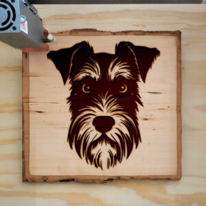 65788_wood-laser-1.jpg