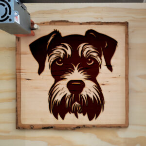 65792_wood-laser-1.jpg