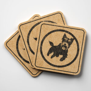 65798_coaster-1.jpg