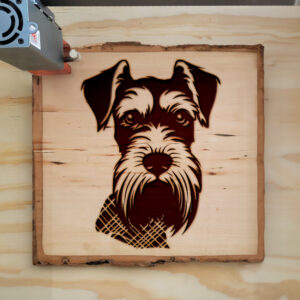 65806_wood-laser-1.jpg
