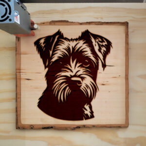65812_wood-laser-1.jpg