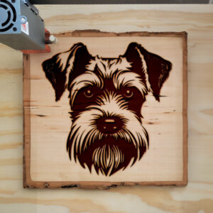 65820_wood-laser-1.jpg
