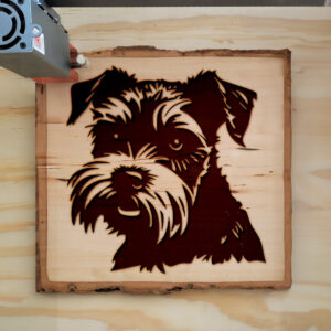 65822_wood-laser-1.jpg