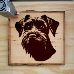 65824_wood-laser-1.jpg