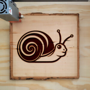 66181_wood-laser-1.jpg