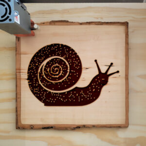 66209_wood-laser-1.jpg