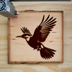 66285_wood-laser-1.jpg