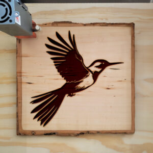 66301_wood-laser-1.jpg