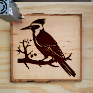 66309_wood-laser-1.jpg