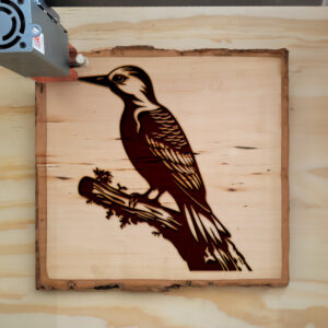66331_wood-laser-1.jpg