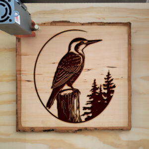 66341_wood-laser-1.jpg