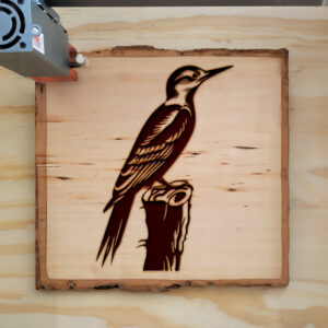 66350_wood-laser-1.jpg