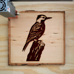 66354_wood-laser-1.jpg