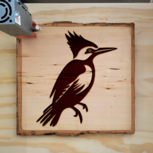 66375_wood-laser-1.jpg