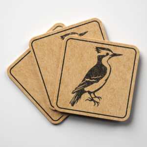 66377_coaster-1.jpg