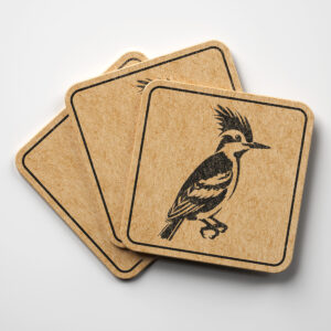 66381_coaster-1.jpg