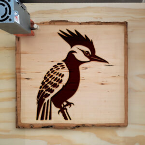 66385_wood-laser-1.jpg