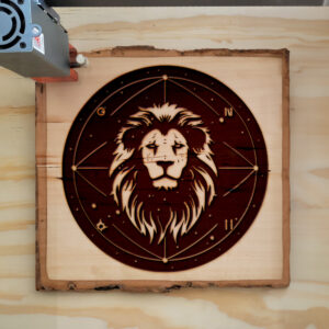 66409_wood-laser-1.jpg