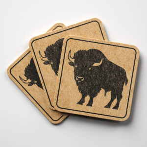 66419_coaster-1.jpg