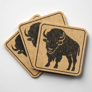 66421_coaster-1.jpg