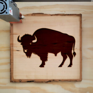 66423_wood-laser-1.jpg