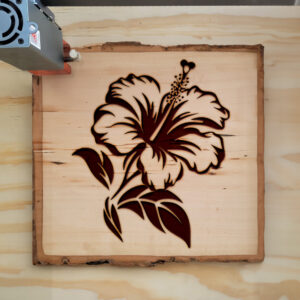 66427_wood-laser-1.jpg