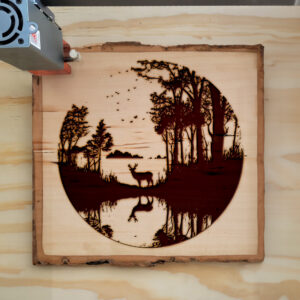66435_wood-laser-1.jpg