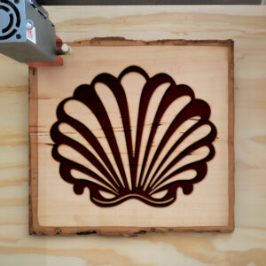 66447_wood-laser-1.jpg