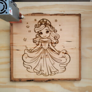 66457_wood-laser-1.jpg
