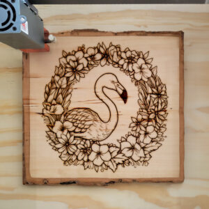 66461_wood-laser-1.jpg