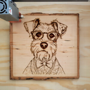 66467_wood-laser-1.jpg