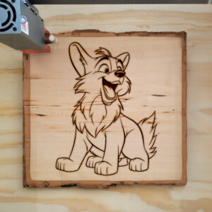 66495_wood-laser-1.jpg