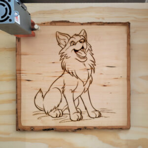 66497_wood-laser-1.jpg