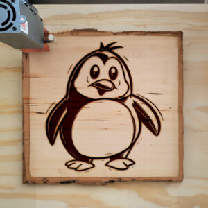 66534_wood-laser-1.jpg