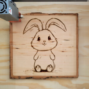 66550_wood-laser-1.jpg