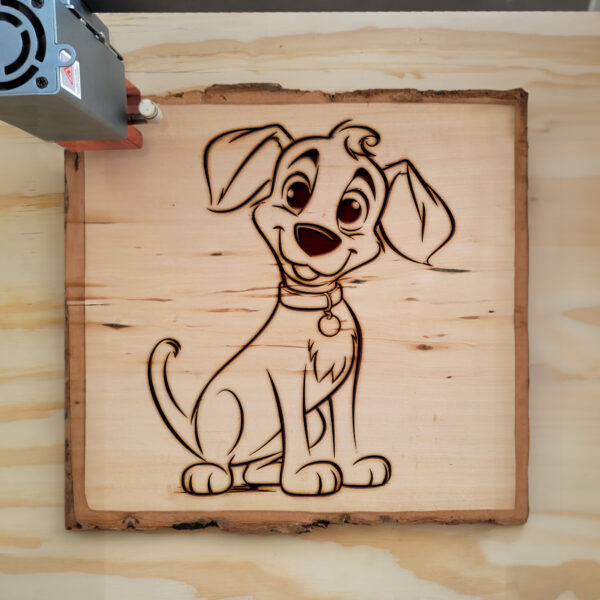 66552_wood-laser-1.jpg