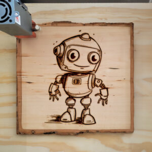 66565_wood-laser-1.jpg