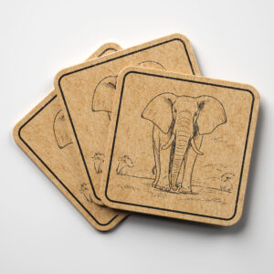 66571_coaster-1.jpg